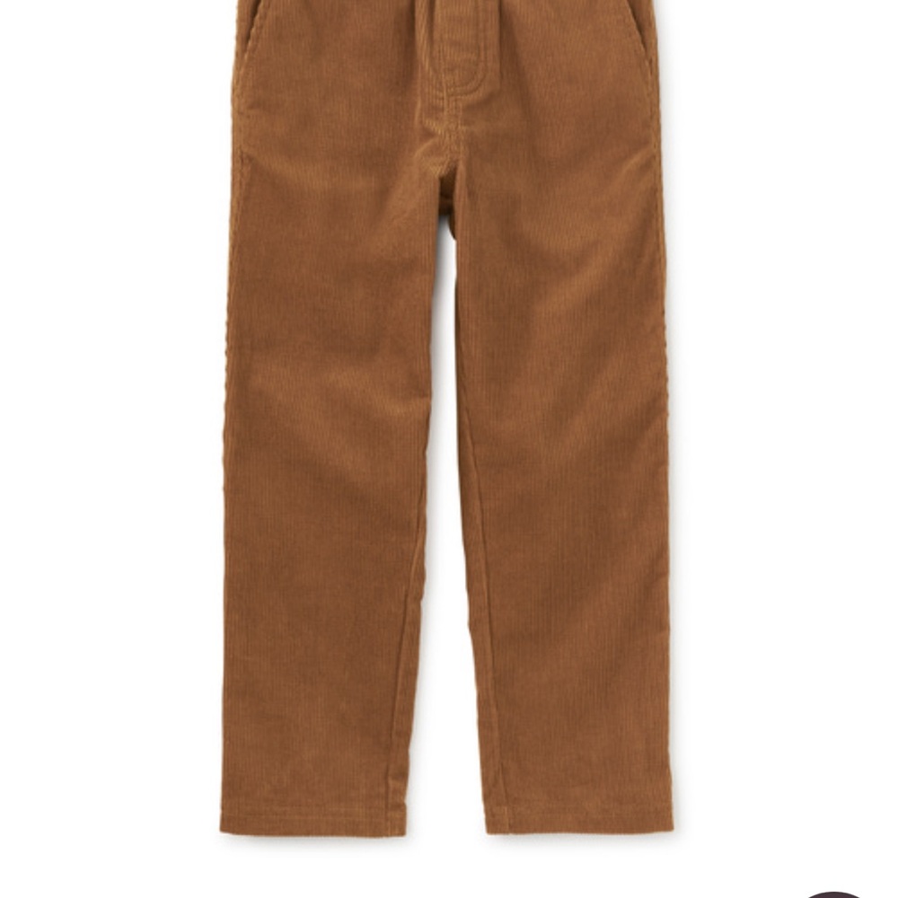 Bundle of 2 Tea Collection Corduroy Trousers